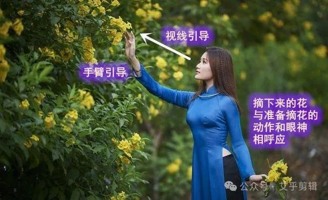 培养“分镜头”意识——视觉引导